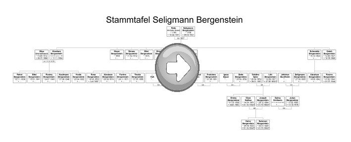 Grafik Stammbaum mit Pfeil