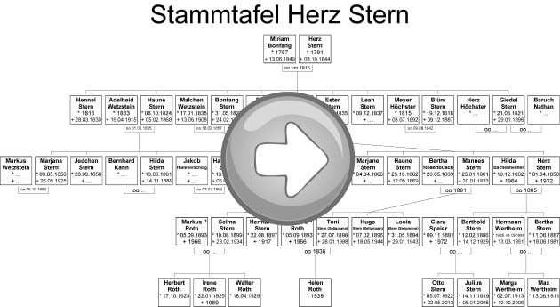 Grafik Stammbaum mit Pfeil